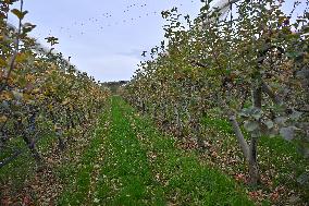 Annie Genevard Visits the Rhone Region - France