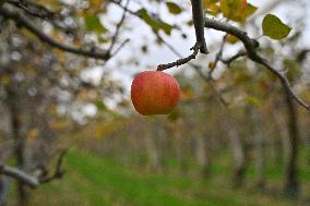 Annie Genevard Visits the Rhone Region - France