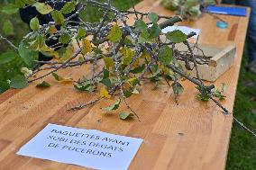 Annie Genevard Visits the Rhone Region - France