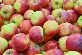 Annie Genevard Visits the Rhone Region - France