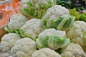 Annie Genevard Visits the Rhone Region - France