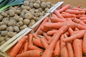 Annie Genevard Visits the Rhone Region - France