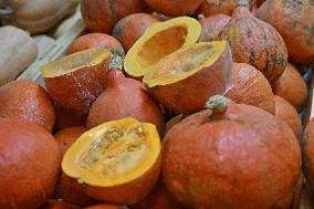 Annie Genevard Visits the Rhone Region - France