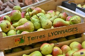 Annie Genevard Visits the Rhone Region - France