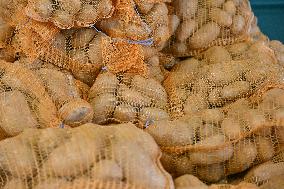 Annie Genevard Visits the Rhone Region - France