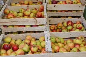 Annie Genevard Visits the Rhone Region - France