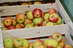 Annie Genevard Visits the Rhone Region - France