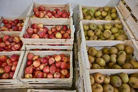 Annie Genevard Visits the Rhone Region - France