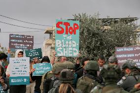 Protests in Beit Jala Against Israeli Settler Violence - Bethlehem