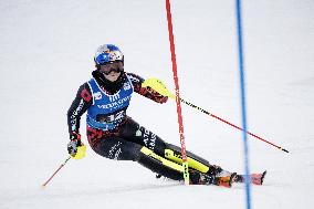 Alppihiihto: Maailmancupin kilpailut (-16.11.)