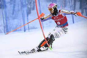 Alppihiihto: Maailmancupin kilpailut (-16.11.)