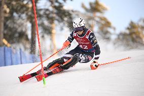 Alppihiihto: Maailmancupin kilpailut (-16.11.)