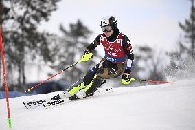 Alppihiihto: Maailmancupin kilpailut (-16.11.)