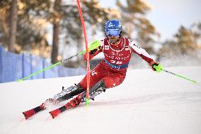 Alppihiihto: Maailmancupin kilpailut (-16.11.)