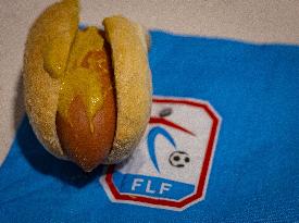 CALCIO - UEFA Campionato Europeo - Qualifiers - Luxembourg vs Germany