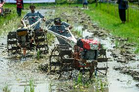 Farmers in a rice field tractors racing on a muddy rice field - Kebonagung
