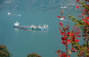 China's first Type 076 amphibious assault ship, the Sichuan
