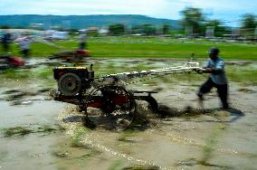 Farmers in a rice field tractors racing on a muddy rice field - Kebonagung