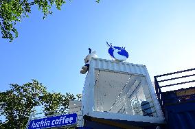 Luckin Coffee Container Themed Store in Fuzhou