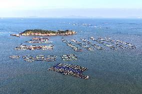 Large Yellow Croaker Aquaculture Base