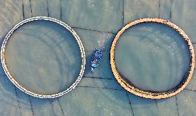 Large Yellow Croaker Aquaculture Base