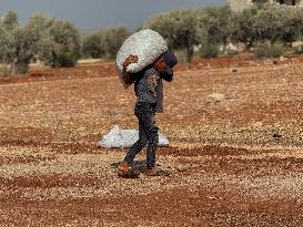 Peanut Seller Returns To Ariha - Syria
