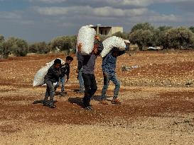 Peanut Seller Returns To Ariha - Syria
