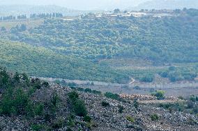 Israeli Concrete Wall - Lebanon
