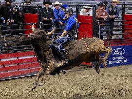 2025 Royal Horse Show - Toronto