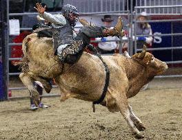 2025 Royal Horse Show - Toronto