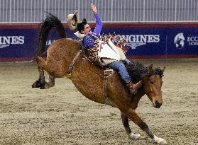 2025 Royal Horse Show - Toronto