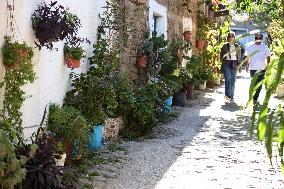 Dellys Sighting - Algeria