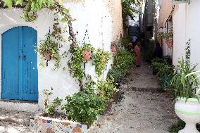 Dellys Sighting - Algeria