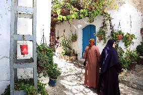 Dellys Sighting - Algeria