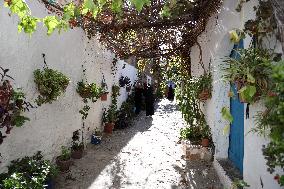 Dellys Sighting - Algeria