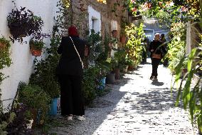 Dellys Sighting - Algeria