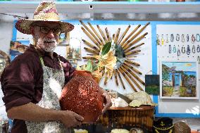 Dellys Sighting - Algeria