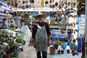 Dellys Sighting - Algeria