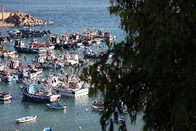 Dellys Sighting - Algeria