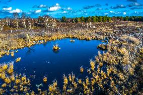 Illustration - Fontainebleau
