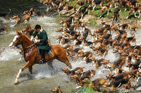 Illustration - Fontainebleau