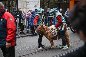 Massive Crowds Celebrate Sinterklaas Arrival - Amsterdam