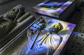 Illustration - Fontainebleau