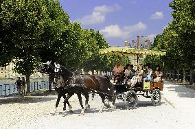 Illustration - Fontainebleau