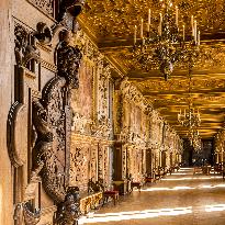 Illustration - Fontainebleau