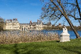 Illustration - Fontainebleau