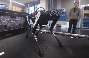 World Fastest Robot Dog Black Panther 2.0
