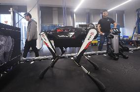 World Fastest Robot Dog Black Panther 2.0