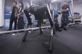 World Fastest Robot Dog Black Panther 2.0