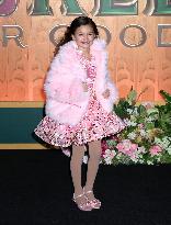 'Wicked: For Good' New York Premiere